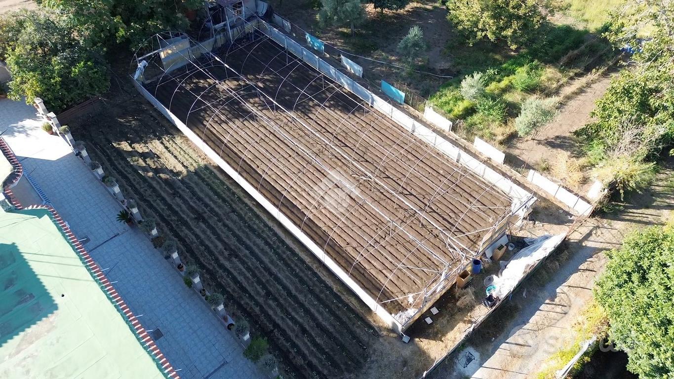 TERRENO A POLLENA TROCCHIA - Vista 3