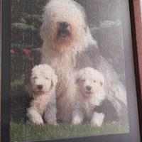 Quadro "Cani Bobtail" - composizione puzzle