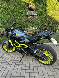 Mt 07/2017