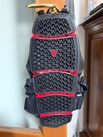 Paraschiena Dainese PRO ARMOR BACK LONG