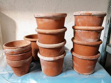 vasi terracotta in blocco piante grasse 