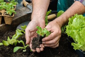 Terreno agricolo