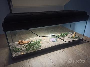 Acquario 200 litri
