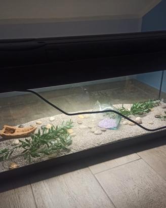 Acquario 200 litri
