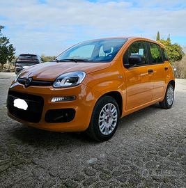 Fiat Panda 1.2 GPL - Maggio 2021 - Solo 42.000 km