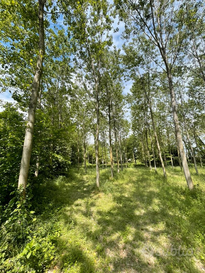 Terreno non edificabile nel parco del Ticino - Altro