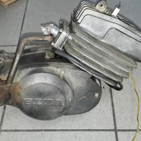 Beta Alp 50 : motore forcella cerchio