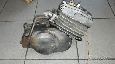 Beta Alp 50 : motore forcella cerchio