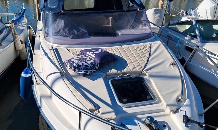 Saver 650 sport cabin