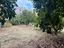 Immagine 18