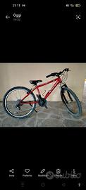 bici Mountain bike per bambi/ragazzino tutta funz