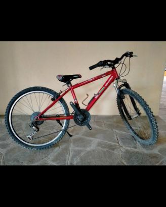 bici Mountain bike per bambi/ragazzino tutta funz