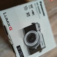 mirrorless Panasonic lumix gx800 +14-140