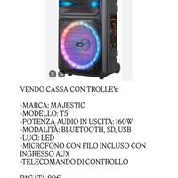 Cassa con microfono