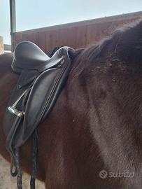 Sella da dressage Equipe Emporio - Pelle nera