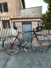 bici da corsa wilier triestina