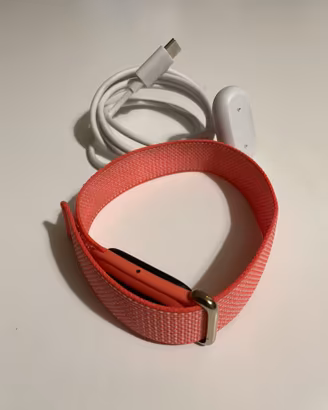 Fitbit Air