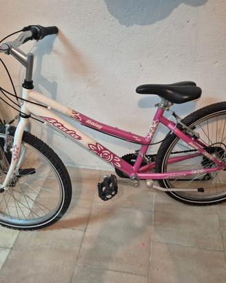Bicicletta 24