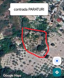 Terreno con frutteto + casa e ripostiglio