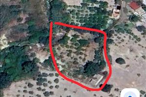 Terreno con frutteto + casa e ripostiglio
