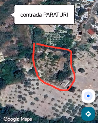Terreno con frutteto + casa e ripostiglio