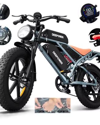 Bicicletta elettrica 