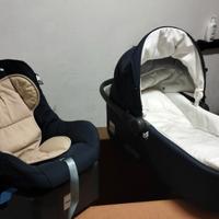 Inglesina Zippy free