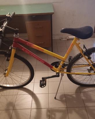 Bici da donna 26”