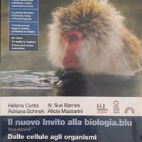 Libri scolastici