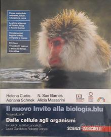 Libri scolastici