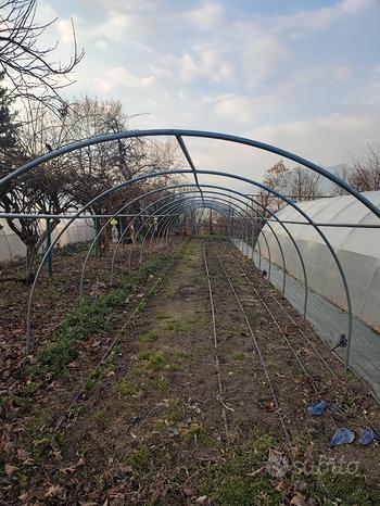 Serra Giardino Tunnel, 835x290x225 cm, Tenda Riparo per Piante con Telaio Acciaio Galvanizzato, Copertura in PE Verde, Porta con Cerniera arrotolabile, per Coltivazione Fiori Ortaggi | IT