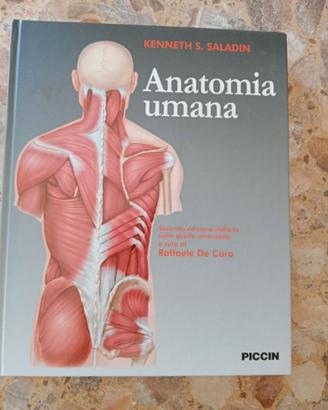 Anatomia umana Saladin