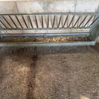 Mangiatoie per ovini/caprini