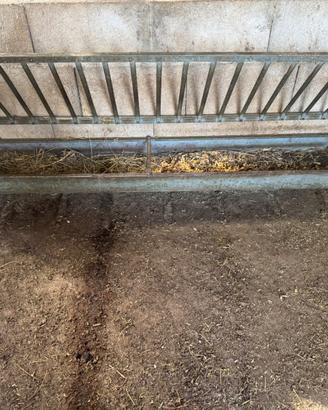 Mangiatoie per ovini/caprini