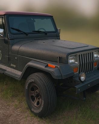 JEEP Wrangler 1ª-2ª s. - 1993