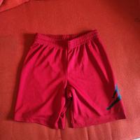 Pantaloni corti Jordan