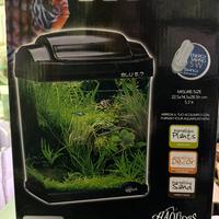 Acquario completo
