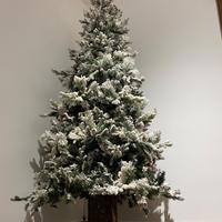 Albero di natale