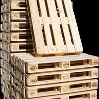 Pedane Nuove euroepal  80x120