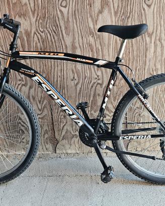 mtb bicicletta