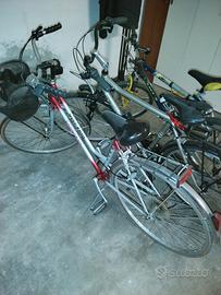 Bicicletta da donna Vietta