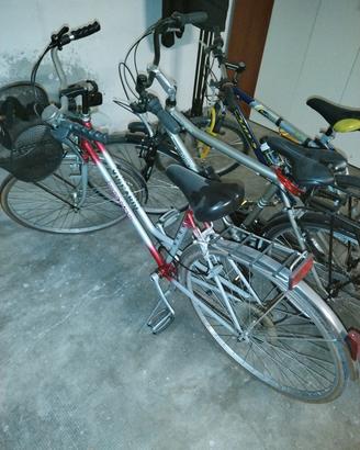 Bicicletta da donna Vietta