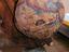 Immagine 1