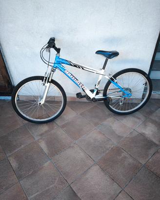MTB 24"- CAMBIO SHIMANO-RAGAZZO