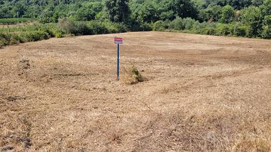 Terreno agricolo in Pontelatone (CE)