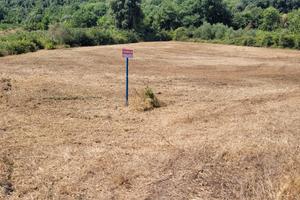 Terreno agricolo in Pontelatone (CE)