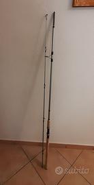 Canna Daiwa
