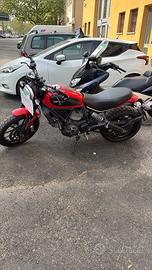 Ducati scrambler 800