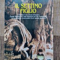 Lotto libri fantasy 