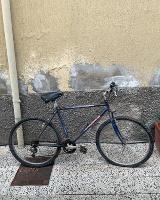 Bicicletta
